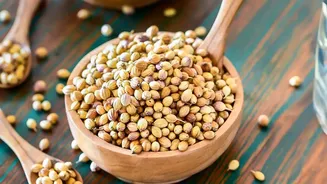 Coriander Prices Cross ₹200/Kg: How Monsoon Rains Are Hitting Indian Kitchens