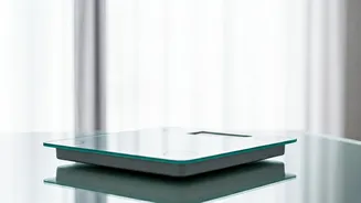 Unraveling Winter Weight Gain: Facts and Strategies