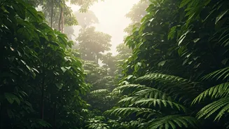 The Rainy Makeover These Destinations Deserved