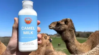 Camel milk: A superfood you didn't know you needed