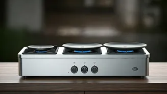 Vishwaguru Chulha: Rajasthan Genius's 3-in-1 Stove Revolutionizes Cooking for 25 in 30 Minutes