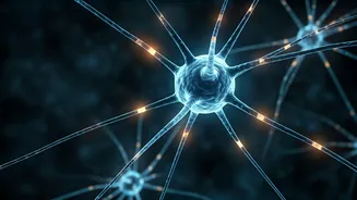 Is Fear Contagious? Exploring the Spread of Anxieties