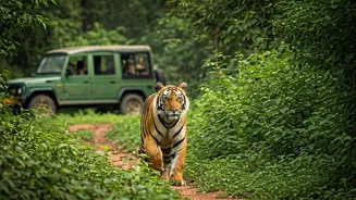 India's Jeep Safari Season Is Officially Back
