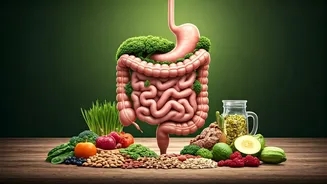 Rainy Months Need More Gut-Friendly Choices