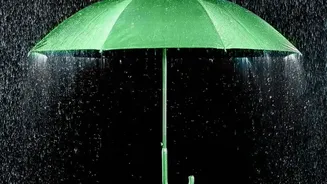 Heavy Rain And Humidity: What Indian Households Should Consider