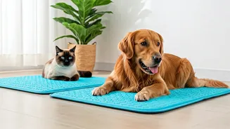 Protect Your Pets From Humid Afternoons With Smart Cooling Mats