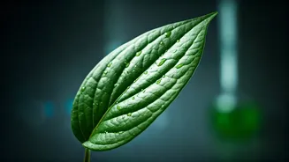 Related Stories banner