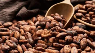 5 healthy breakfast ideas using raw cacao