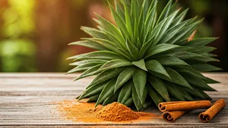 Unlocking Your Houseplants' Potential: 5 Surprising Uses for Cinnamon in Your Home Garden