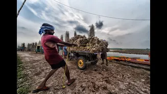 Monsoon rains disrupt coal supplies, pushing sponge iron prices to two-year high