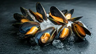 Mussel Mastery: Cleaning and Prep Guide
