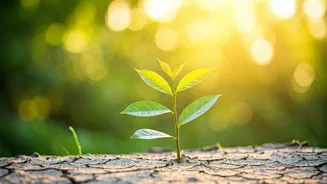 Transforming Lives: Inspiring Stories of Resilience, Love, and New Beginnings