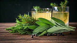 Savory Mocktail Infusions Crafted With Native Herbs Go Viral
