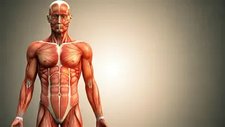 Beyond the Biceps: Unpacking the True Meaning of Healthy vs. Fit