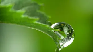 Nature's Findings Support More Targeted Food-System Interventions