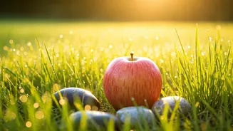 Jonty Rhodes: Beyond Biceps, Embracing a Life of Vibrant Health and Longevity