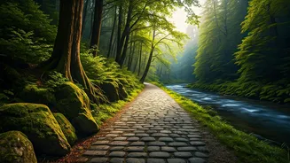 A Journey of Self-Discovery: Exploring the Paths of India