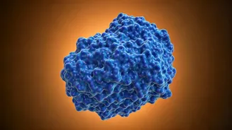 Unlock Your Metabolism: The Crucial Protein Secret for Sustainable Weight Loss