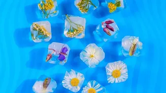 Inside DIY Retinol Ice Cubes: The Limits Of An Ice-Cube Skincare Hack