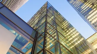 Risk management tips for new investors