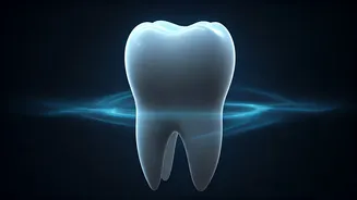 Nighttime Brushing: The Unsung Hero of Dental Health and Preventing Oral Decay