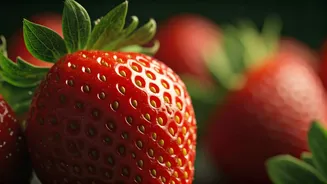 8 Signs You're a True Strawberry Devotee: Do You Relate?