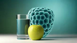 Immunity Basics Are Better Than Viral Hacks