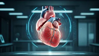 TOI Cardio Medithon: Unpacking Heart Health - Prevention, Women's Risks, Recovery & Youth Concerns