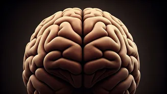 Boost Your Well-being: A Guide to Prioritizing Mental Health