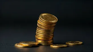 Smallcap Stocks Soaring: The Multibagger Rally