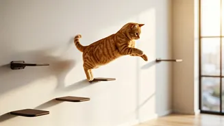 Give Flat Cats More Freedom Via Wall Mounted Perches