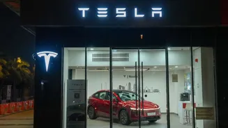 Tesla India reports nearly ₹250cr revenue for FY26
