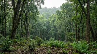 Inside India's Tiger Reserve Extensions: How Relocation Missions Protect Genetic Diversity