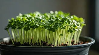 Related Stories banner