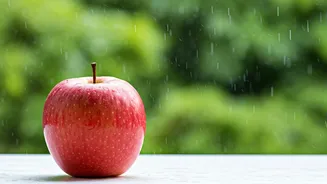 Rainy-Season Cravings Need A Safety Filter