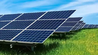 India's Agrivoltaics Push: Farmers and Policymakers Should Not Rely on Solar Capacity Alone