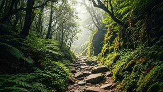 Bhutan Remote Nature Trails Top Our Eco-Conscious Wishlists Tonight