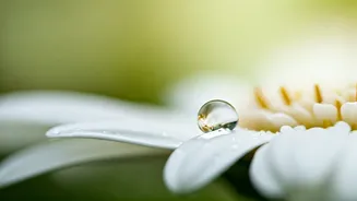 Gentle Cleansing: The Key to Soft, Refreshed, and Healthy Skin