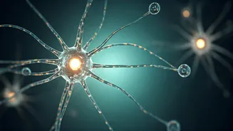 Related Stories banner