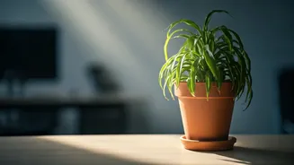 Career Feeling Stagnant? Here's What To Do