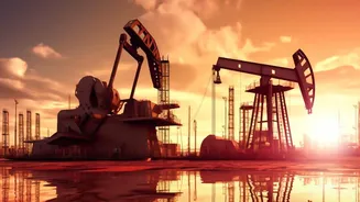 India's Dual-Chokepoint Energy Risk: $130-$135 Brent, Energy-Supply Resilience and the Wider Context