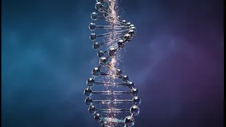 Alzheimer's-Linked Blood Proteins In Midlife: Understanding Blood Proteins, Longitudinal Data And Cognitive Follow-Up Without The Jargon