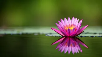 Related Stories banner