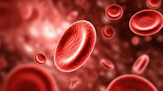 Yoga for Enhanced Blood Circulation & Energy