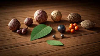 Related Stories banner