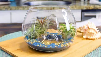 5 terrarium styles to elevate your home decor