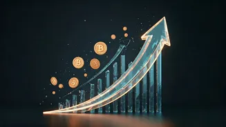 Financial Literacy Content Goes Viral Online