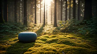 Young India Is Chasing Forest Retreats