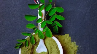 Moringa Idli Is A Recipe Variation Rather Than A Health Cure; Moringa Leaves Give Idli Batter A Green Colour And Earthy Flavour