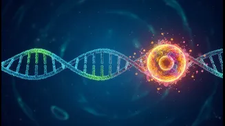 What new semaglutide clinical research means for targeting age-related biological decline directly